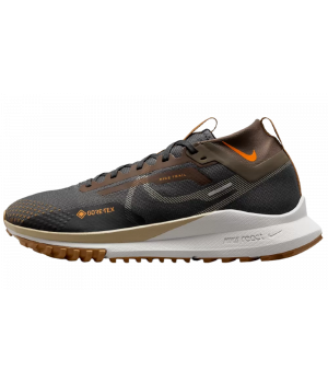 Nike Pegasus Trail 4 Gore-Tex Brown