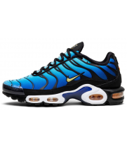 Кроссовки Nike Air Max TN Plus Hyper Blue