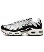 Кроссовки Nike Air Max TN Plus Silver