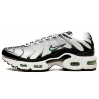 Кроссовки Nike Air Max TN Plus Silver