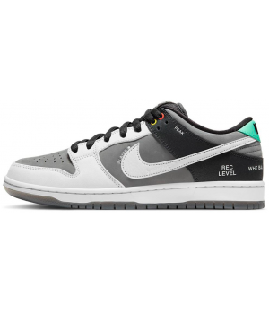 Кроссовки Nike SB Dunk Low VX1000 Camcorder