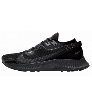 Кроссовки Nike Pegasus Gore Tex Trail 2 черные